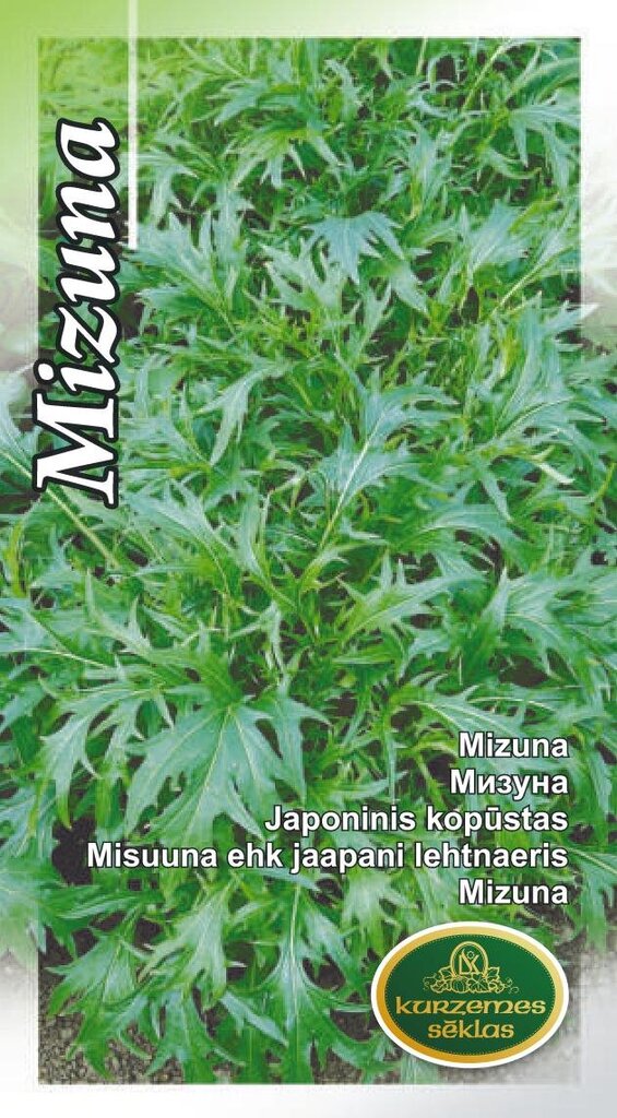 Misuuna ehk jaapani lehtnaeris hind ja info | Maitsetaimede seemned | kaup24.ee