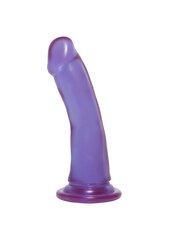 Õhuke dildo Crystal Jellies 15 cm, lilla hind ja info | Dildod | kaup24.ee