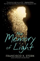 Memory of Light цена и информация | Книги для подростков и молодежи | kaup24.ee