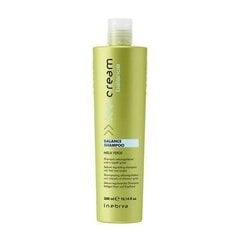 Rasueritust reguleeriv šampoon rasustele juustele Inebrya Ice Cream Balance Shampoo, 300ml цена и информация | Шампуни | kaup24.ee