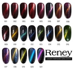 Reney Cat Eye Hybrid Lacquer 008 Galaxy 10мл цена и информация | Лаки для ногтей, укрепители для ногтей | kaup24.ee