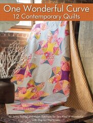 One Wonderful Curve: 12 Contemporary Quilts hind ja info | Tervislik eluviis ja toitumine | kaup24.ee