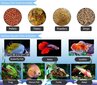 Automaatne akvaariumi kalasöötja, dosaator цена и информация | Akvaariumid ja seadmed | kaup24.ee