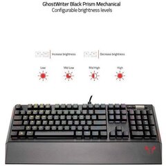 Riotoro Ghostwriter PrismDE цена и информация | Клавиатура с игровой мышью 3GO COMBODRILEW2 USB ES | kaup24.ee