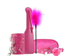 Erootiliste mänguasjade komplekt, roosa hind ja info | Sekslelude komplektid | kaup24.ee