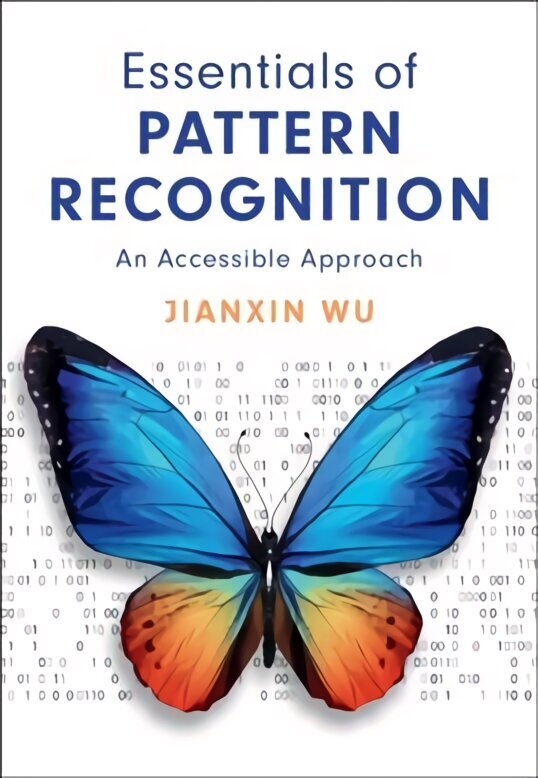 Essentials of Pattern Recognition: An Accessible Approach hind ja info | Majandusalased raamatud | kaup24.ee