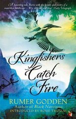 Kingfishers Catch Fire: A Virago Modern Classic цена и информация | Фантастика, фэнтези | kaup24.ee