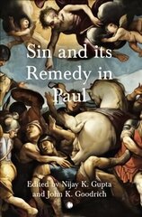 Sin and its Remedy in Paul цена и информация | Духовная литература | kaup24.ee