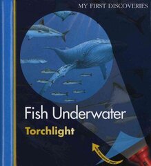 Fish Underwater цена и информация | Книги для подростков и молодежи | kaup24.ee