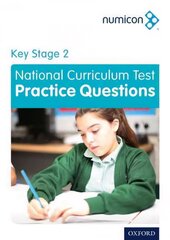 Numicon: Key Stage 2 National Curriculum Test Practice Questions hind ja info | Noortekirjandus | kaup24.ee