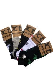 Мужские разноцветные носки Xintao, 5штук цена и информация | Meeste sokid | kaup24.ee