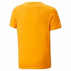 Футболк Puma Ess+ 2 Col Logo Yellow 586985 39 цена и информация | Рубашки для мальчиков | kaup24.ee