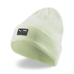 Müts Puma beanie, roheline цена и информация | Мужские шарфы, шапки, перчатки | kaup24.ee