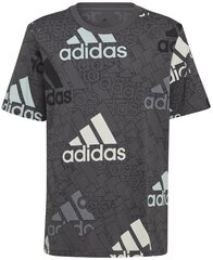 Adidas T-särk U Bl Logo Tee Grey HP0819 HP0819/140 цена и информация | Рубашки для мальчиков | kaup24.ee