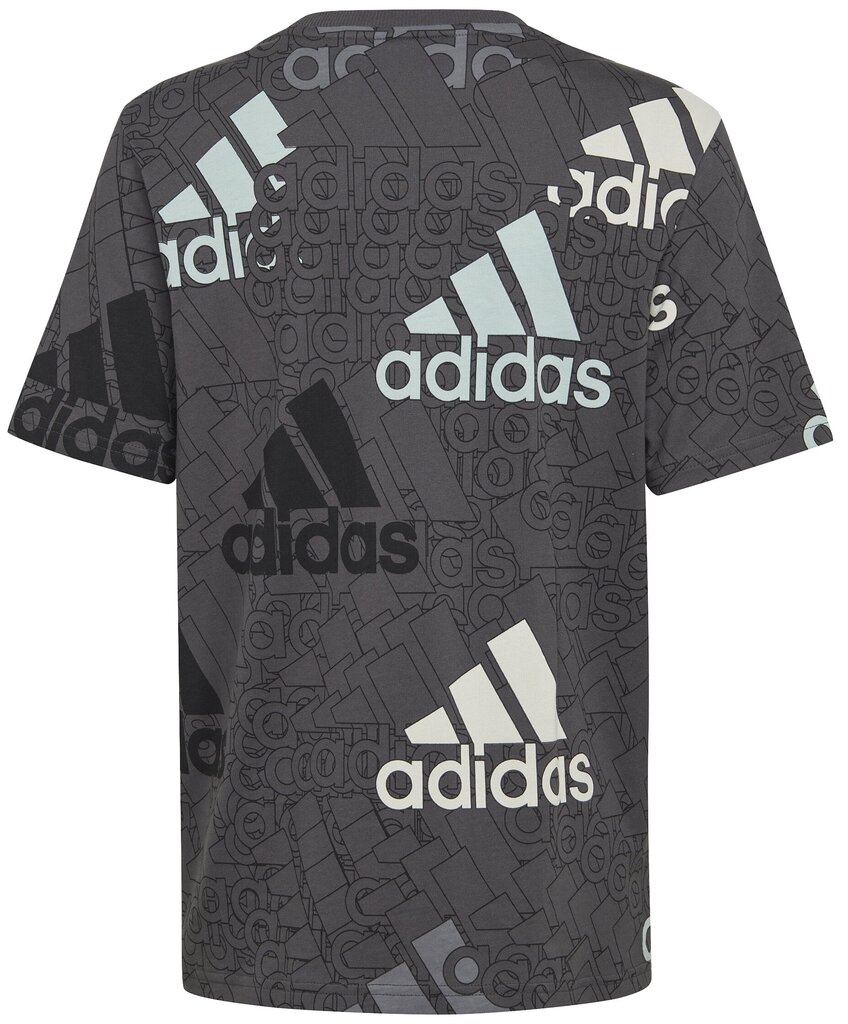 Adidas T-särk U Bl Logo Tee Grey HP0819 HP0819/140 цена и информация | Poiste särgid | kaup24.ee