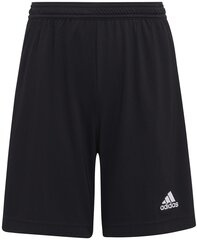 Шорты Adidas Ent22 Shorts Y Black H57502 H57502/176 цена и информация | Шорты для мальчиков | kaup24.ee