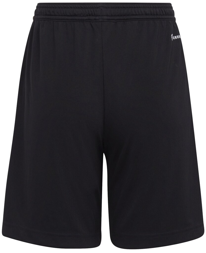 Adidas Lühikesed Püksid Ent22 Short Y Black H57502 H57502/176 hind ja info | Poiste lühikesed püksid | kaup24.ee