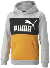 Puma džemper Ess Block Hoodie Black Grey Yellow 849081 04 849081 04/176 цена и информация | Свитеры, жилетки, пиджаки для мальчиков | kaup24.ee