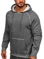 Мужской джемпер J.Style Fleece Grey 8B152-5 8B152-5/2XL цена и информация | Мужские толстовки | kaup24.ee