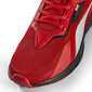 Puma Jalatsid Ferrari Tiburion Rosso Cors Red 307234 02 307234 02/8 hind ja info | Spordi- ja vabaajajalatsid meestele | kaup24.ee