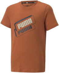 Футболка Puma Alpha Holiday Tee Orange 670109 64 670109 64/176 цена и информация | Рубашки для мальчиков | kaup24.ee