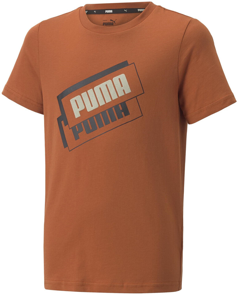 Puma T-särk Alpha Holiday Tee Orange 670109 64 670109 64/176 hind ja info | Poiste särgid | kaup24.ee