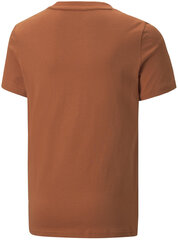 Футболка Puma Alpha Holiday Tee Orange 670109 64 670109 64/176 цена и информация | Рубашки для мальчиков | kaup24.ee