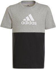 Adidas T-särk U Cb Tee Black Grey HN8561 HN8561/128 цена и информация | Рубашки для мальчиков | kaup24.ee