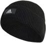 Adidas müts Fisherman Wooli Black HG7801 HG7801/OSFM цена и информация | Meeste sallid, mütsid ja kindad | kaup24.ee