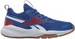 Reebok Jalatsid Xt Sprinter Blue GW1221 GW1221/13.5K цена и информация | Laste spordijalatsid | kaup24.ee