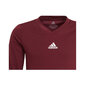 Adidas Team Base laste T-särk GN7510, Burgundia hind ja info | Poiste särgid | kaup24.ee