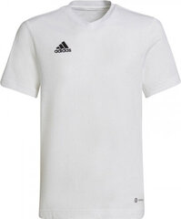 Adidas T-shirt adidas Entrada 22 Tee Jr HC0447 HC0447 цена и информация | Рубашки для мальчиков | kaup24.ee