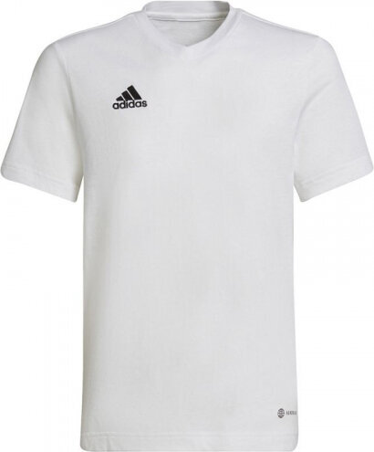 Adidas T-shirt adidas Entrada 22 Tee Jr HC0447 HC0447 hind ja info | Poiste särgid | kaup24.ee