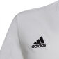 Adidas T-shirt adidas Entrada 22 Tee Jr HC0447 HC0447 цена и информация | Poiste särgid | kaup24.ee