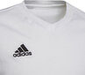 Adidas T-shirt adidas Entrada 22 Tee Jr HC0447 HC0447 hind ja info | Poiste särgid | kaup24.ee