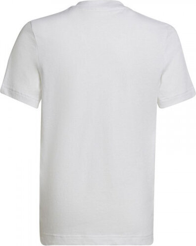 Adidas T-shirt adidas Entrada 22 Tee Jr HC0447 HC0447 цена и информация | Poiste särgid | kaup24.ee