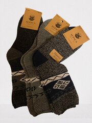Termosokid Alpaka Pesail, 3 paari цена и информация | Мужские носки | kaup24.ee