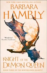 Knight of the Demon Queen цена и информация | Фантастика, фэнтези | kaup24.ee