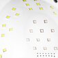 UV/LED lamp laki S1 Glow Dual 168W White Rose hind ja info | Maniküüri, pediküüri tarvikud | kaup24.ee