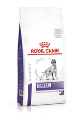 Корм Royal Canin Dental Dry Food для собак с зубными проблемами, 6 кг цена и информация | Сухой корм для собак | kaup24.ee