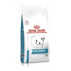 Royal Canin Anallergenic Small Dog väikestele tõugudele, 1,5 kg hind ja info | Kuivtoit koertele | kaup24.ee