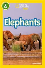 Elephants: Level 4 цена и информация | Книги для подростков и молодежи | kaup24.ee
