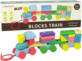 Puidust klotside mäng lastele Lean Toys, rongifiguurid hind ja info | Klotsid ja konstruktorid | kaup24.ee