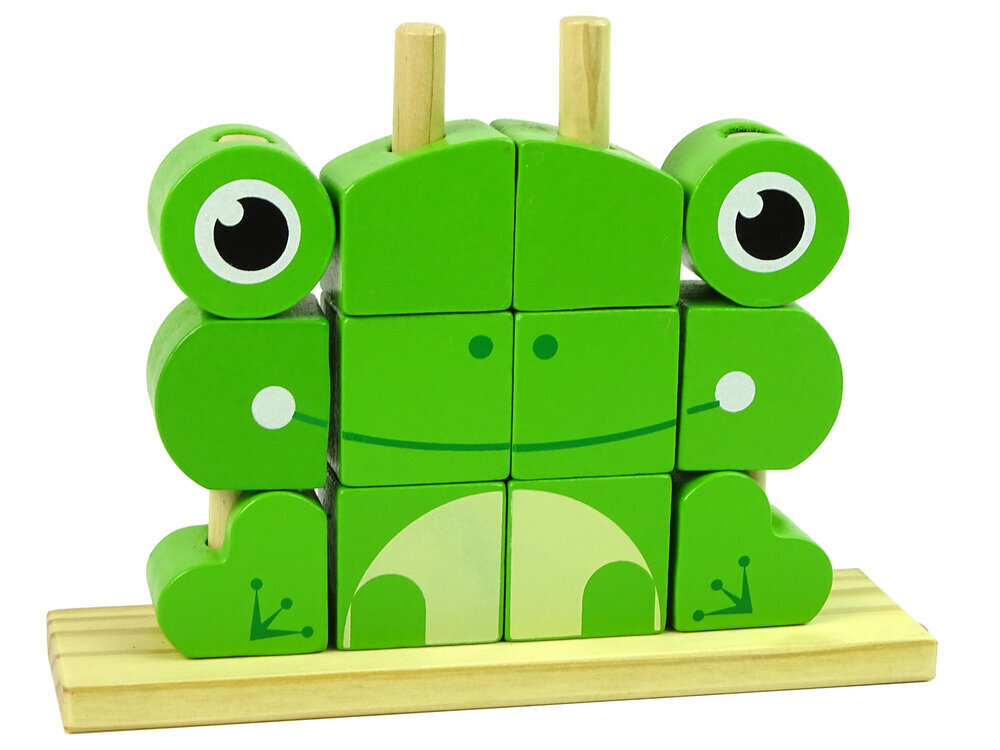 Loominguline 3D konnapusle lastele Lean Toys, roheline hind ja info | Arendavad mänguasjad | kaup24.ee