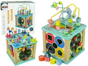 Развивающая игра Lean Toys Cube сортировочный лабиринт цена и информация | Развивающие игрушки | kaup24.ee