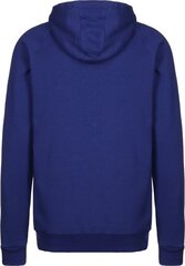 Мужской джемпер Under Armour Rival Fleece FZ 1320736449, синий цвет цена и информация | Мужские толстовки | kaup24.ee