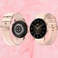 DT3 Gold Steel hind ja info | Nutikellad (smartwatch) | kaup24.ee