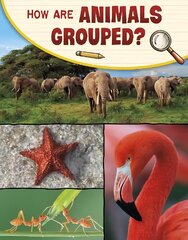 How Are Animals Grouped? цена и информация | Книги для подростков и молодежи | kaup24.ee