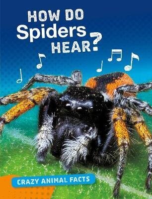 How Do Spiders Hear? цена и информация | Noortekirjandus | kaup24.ee