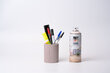 Veepõhine aerosool värv matt Home PintyPlus 400 ml, roosa цена и информация | Värvid | kaup24.ee